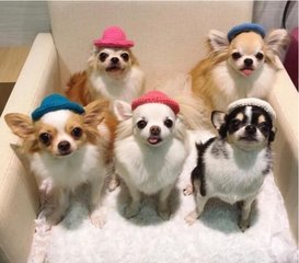 Ethereum钱包安卓版